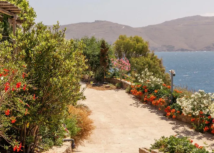 Albatros Club Mykonos 3* Panormos (Mykonos)