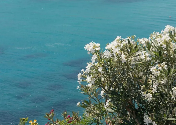 Hotel Albatros Club Mykonos 3*