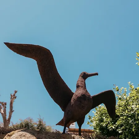 Albatros Club Mykonos Πάνορμος Μυκόνου